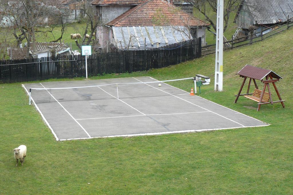 Pensiunea Vladut Bran  Rom bilde